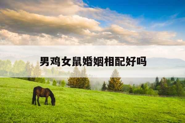 男鸡女鼠婚姻相配好吗 男鸡女鼠婚姻相配好吗
