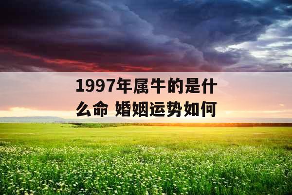 1997年属牛的是什么命 婚姻运势如何