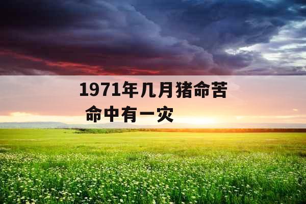 1971年几月猪命苦 命中有一灾