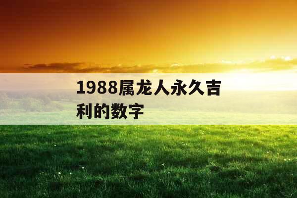 1988属龙人永久吉利的数字