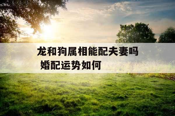 龙和狗属相能配夫妻吗 婚配运势如何
