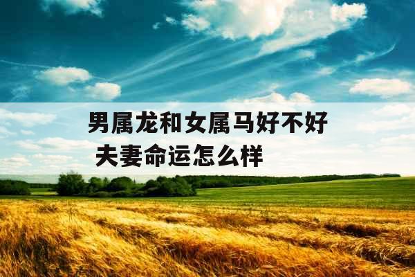 男属龙和女属马好不好 夫妻命运怎么样 男属龙和女属马好不好 夫妻命运怎么样
