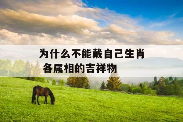 为什么不能戴自己生肖 各属相的吉祥物