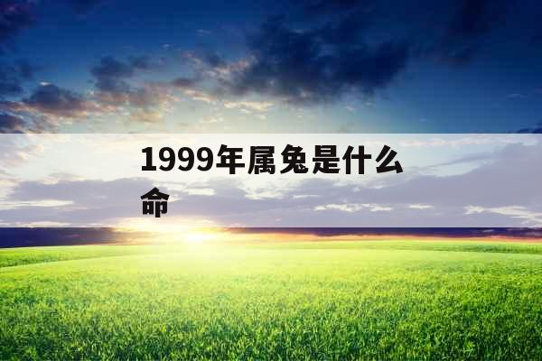 1999年属兔是什么命 1999年属兔是什么命