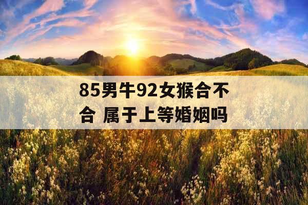 85男牛92女猴合不合 属于上等婚姻吗