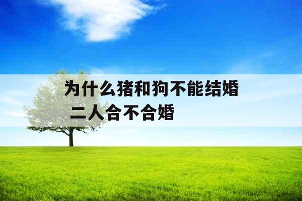为什么猪和狗不能结婚 二人合不合婚