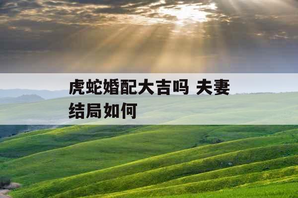 虎蛇婚配大吉吗 夫妻结局如何