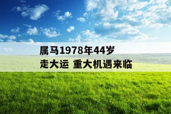 属马1978年44岁走大运 重大机遇来临