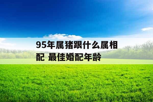 95年属猪跟什么属相配 最佳婚配年龄 95年属猪跟什么属相配 最佳婚配年龄
