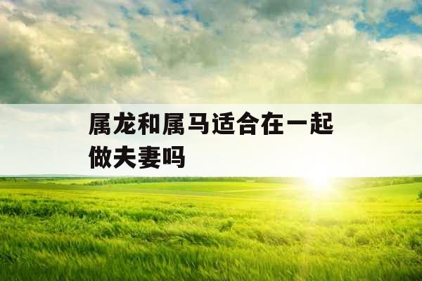 属龙和属马适合在一起做夫妻吗