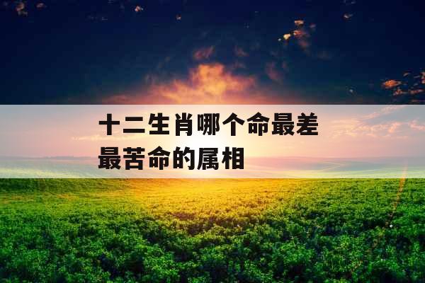 十二生肖哪个命最差 最苦命的属相