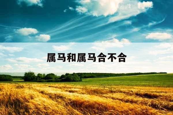 属马和属马合不合