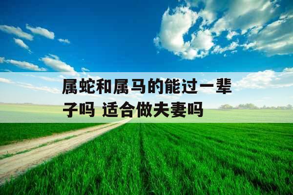 属蛇和属马的能过一辈子吗 适合做夫妻吗