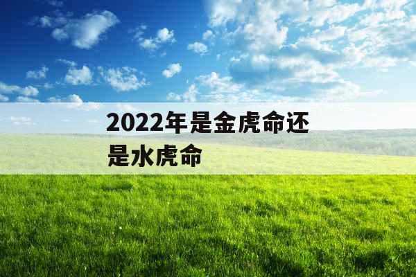 2022年是金虎命还是水虎命