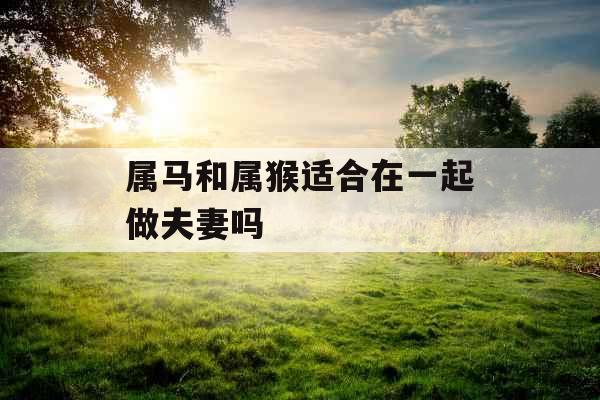 属马和属猴适合在一起做夫妻吗