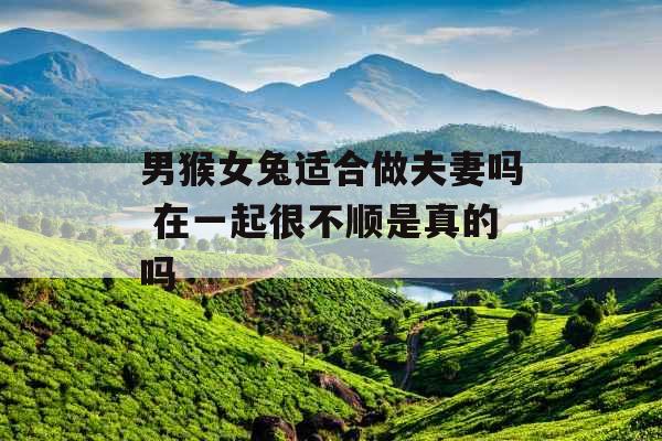 男猴女兔适合做夫妻吗 在一起很不顺是真的吗