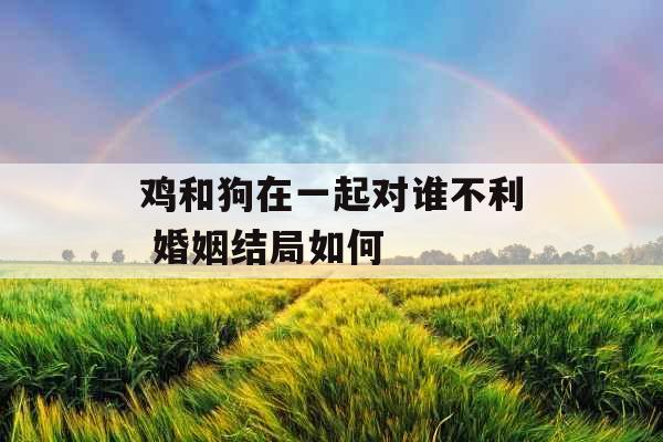 鸡和狗在一起对谁不利 婚姻结局如何