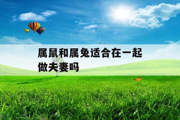 属鼠和属兔适合在一起做夫妻吗