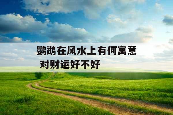 鹦鹉在风水上有何寓意 对财运好不好