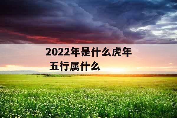 2022年是什么虎年 五行属什么