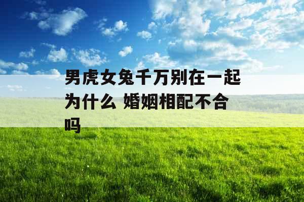 男虎女兔千万别在一起为什么 婚姻相配不合吗
