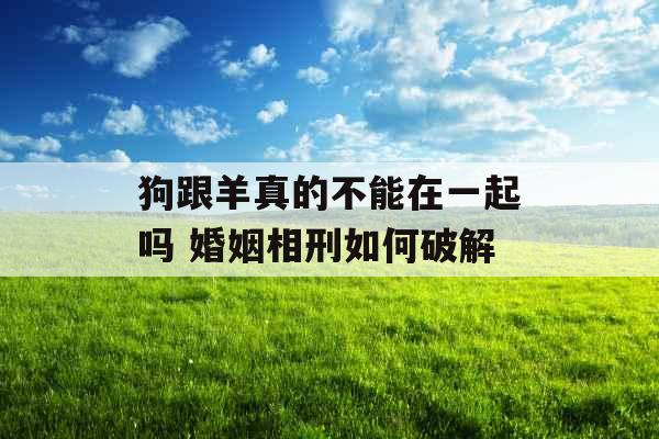 狗跟羊真的不能在一起吗 婚姻相刑如何破解