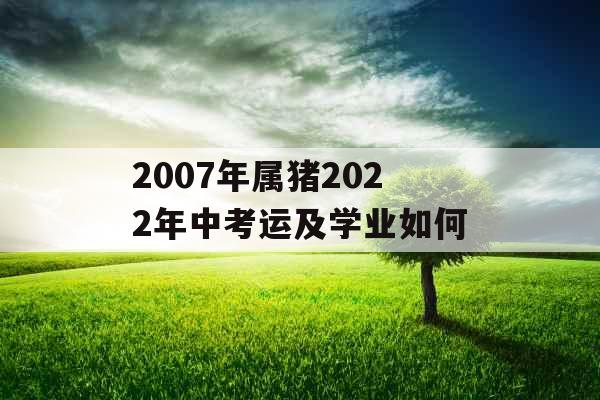 2007年属猪2022年中考运及学业如何