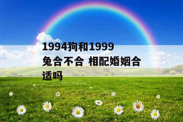 1994狗和1999兔合不合 相配婚姻合适吗
