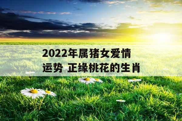 2022年属猪女爱情运势 正缘桃花的生肖