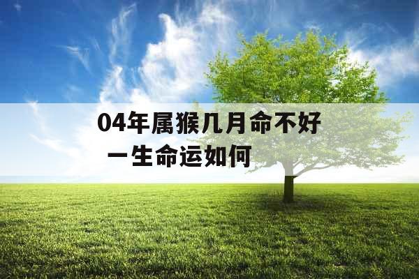 04年属猴几月命不好 一生命运如何