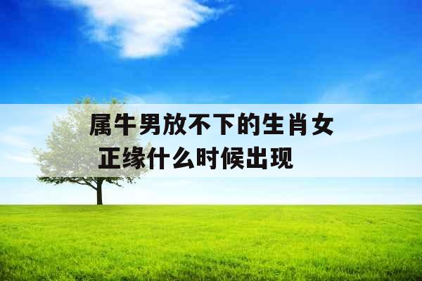 属牛男放不下的生肖女 正缘什么时候出现