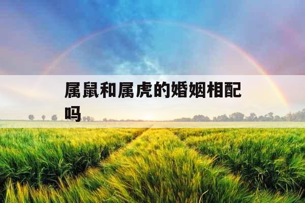 属鼠和属虎的婚姻相配吗