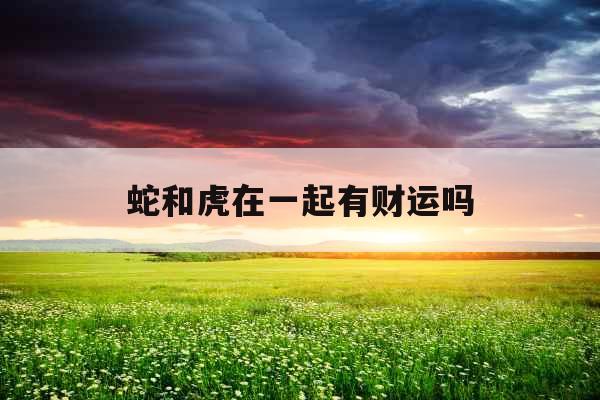 蛇和虎在一起有财运吗