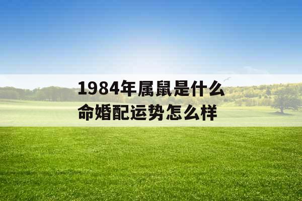 1984年属鼠是什么命婚配运势怎么样