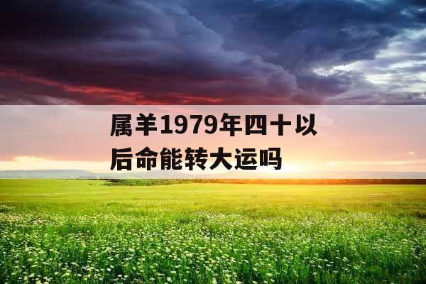 属羊1979年四十以后命能转大运吗