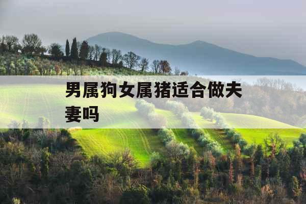 男属狗女属猪适合做夫妻吗