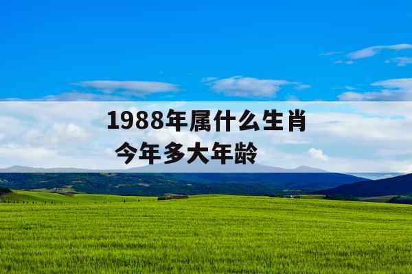 1988年属什么生肖 今年多大年龄