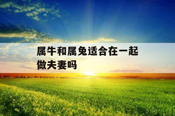 属牛和属兔适合在一起做夫妻吗 属牛和属兔适合在一起做夫妻吗