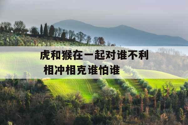 虎和猴在一起对谁不利 相冲相克谁怕谁