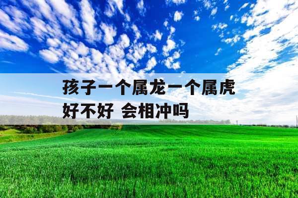 孩子一个属龙一个属虎好不好 会相冲吗
