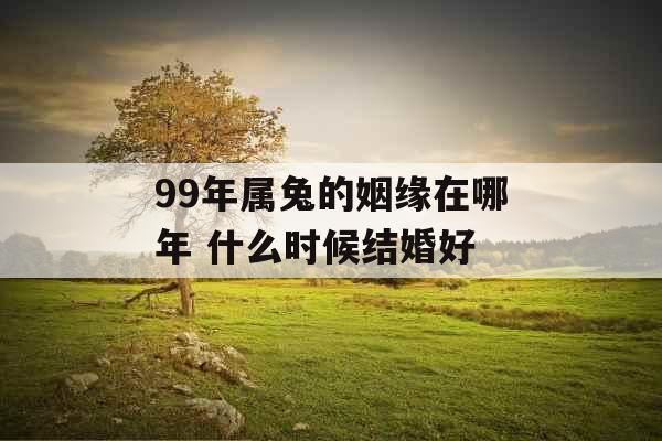 99年属兔的姻缘在哪年 什么时候结婚好 99年属兔的姻缘在哪年 什么时候结婚好