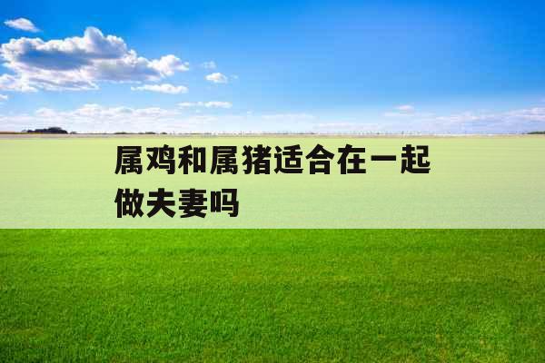 属鸡和属猪适合在一起做夫妻吗