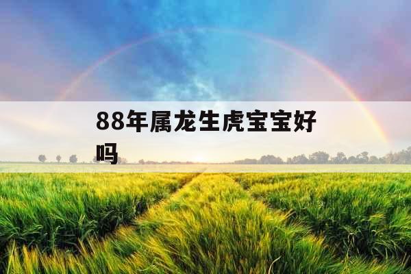 88年属龙生虎宝宝好吗