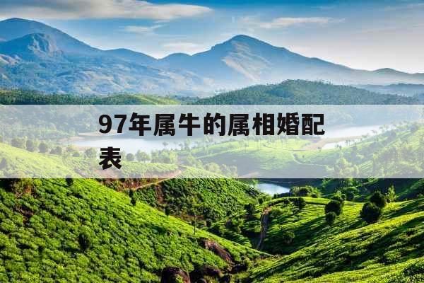 97年属牛的属相婚配表