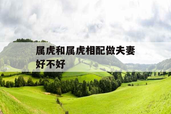 属虎和属虎相配做夫妻好不好
