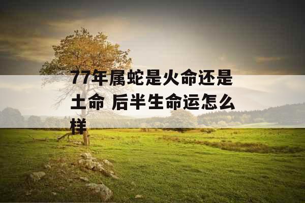 77年属蛇是火命还是土命 后半生命运怎么样