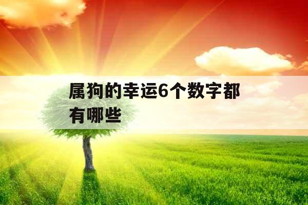 属狗的幸运6个数字都有哪些
