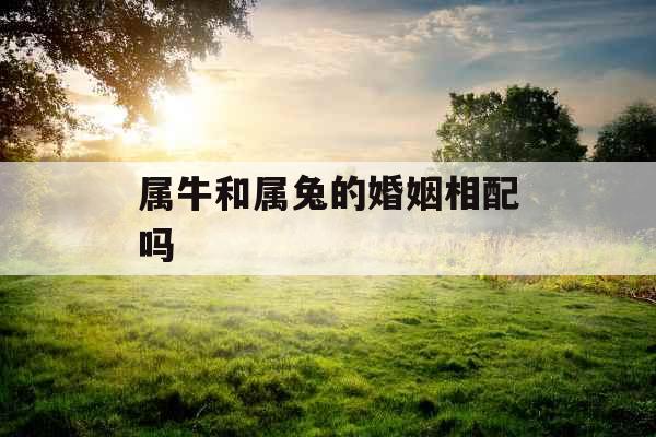 属牛和属兔的婚姻相配吗 属牛和属兔的婚姻相配吗