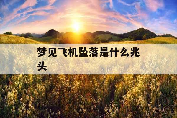 梦见飞机坠落是什么兆头