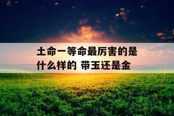 土命一等命最厉害的是什么样的 带玉还是金
